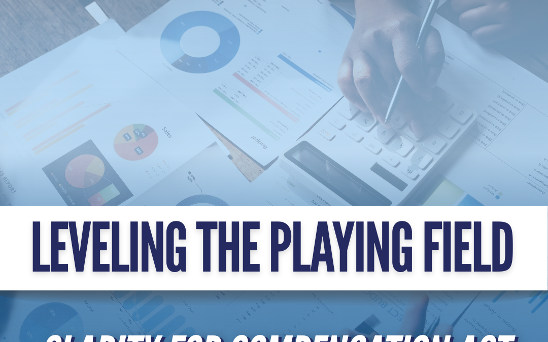 💰 Leveling the Playing Field