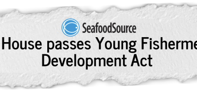 🎣 Keeping Fishing Alive